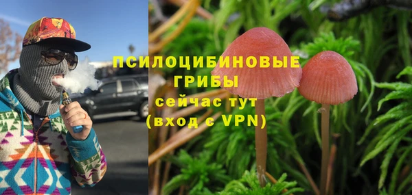 ALPHA PVP Алексеевка